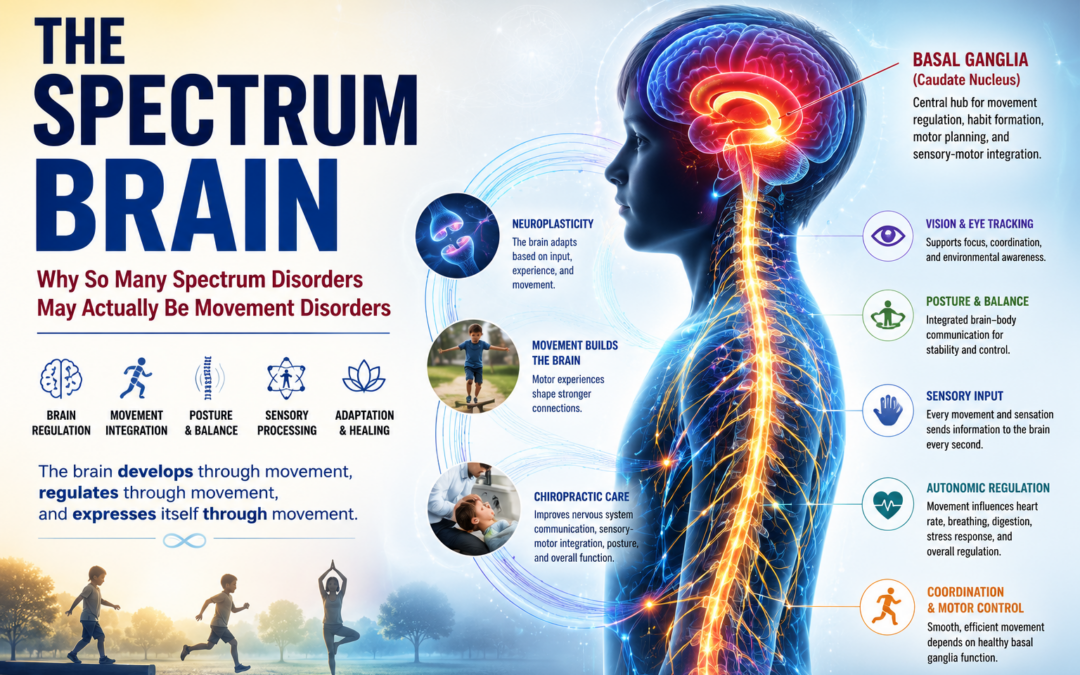 The Spectrum Brain
