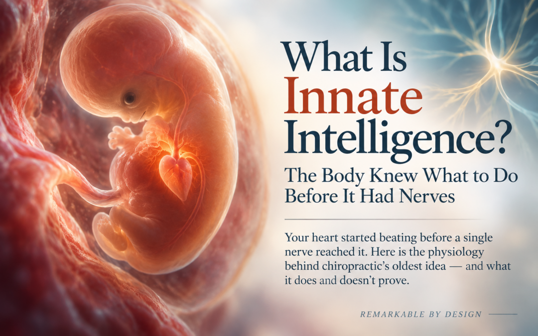 What Is Innate Intelligence? The Body Knew What to Do Before It Had Nerves